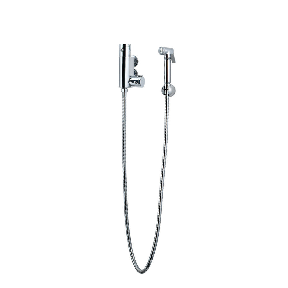 Douche Kit with Therm. Mixing Valve and Brass Spray Head